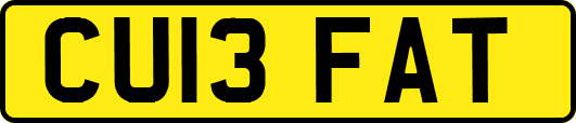 CU13FAT