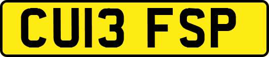 CU13FSP