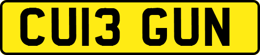 CU13GUN