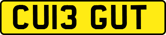 CU13GUT