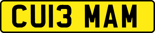 CU13MAM