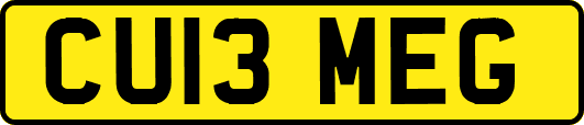 CU13MEG