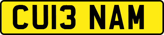 CU13NAM
