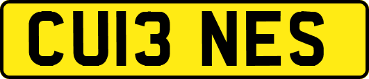 CU13NES