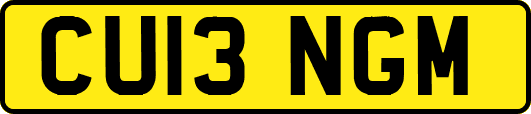 CU13NGM