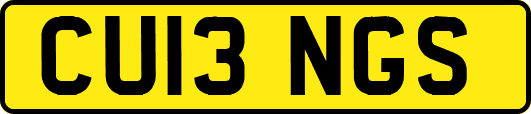 CU13NGS