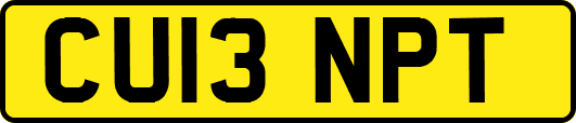 CU13NPT