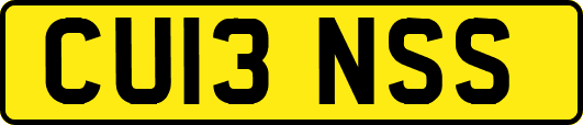 CU13NSS