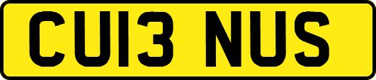 CU13NUS