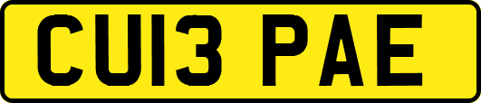 CU13PAE