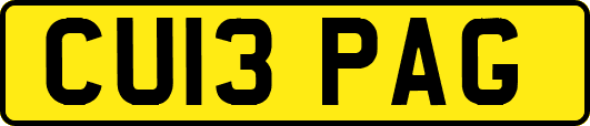 CU13PAG
