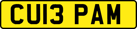 CU13PAM