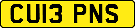 CU13PNS