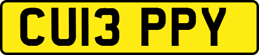 CU13PPY