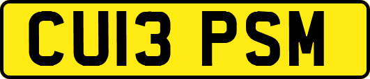 CU13PSM