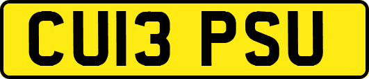 CU13PSU