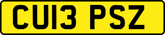 CU13PSZ