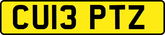 CU13PTZ