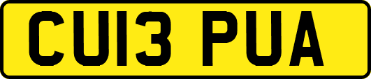 CU13PUA