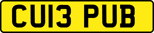 CU13PUB