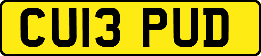 CU13PUD