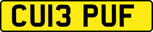 CU13PUF