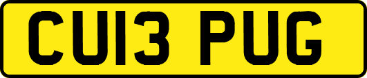 CU13PUG