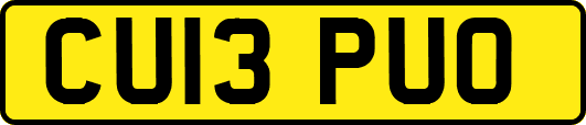 CU13PUO