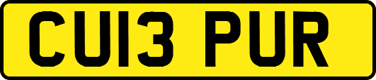 CU13PUR