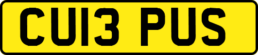 CU13PUS