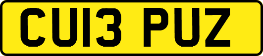 CU13PUZ
