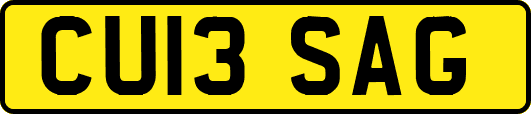 CU13SAG