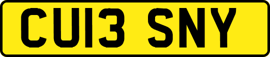 CU13SNY