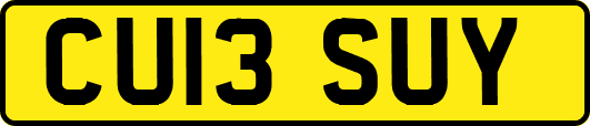 CU13SUY