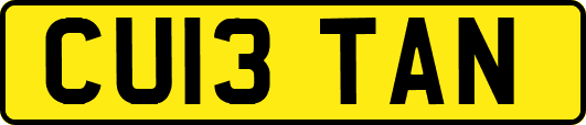 CU13TAN
