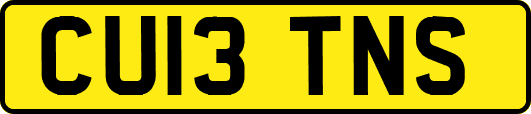 CU13TNS