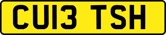 CU13TSH