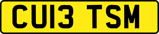 CU13TSM