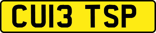 CU13TSP