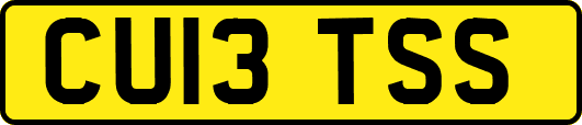 CU13TSS