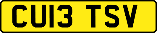 CU13TSV