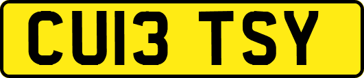 CU13TSY