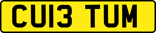 CU13TUM