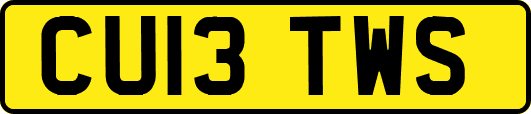 CU13TWS