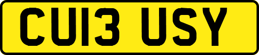 CU13USY
