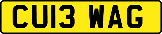 CU13WAG