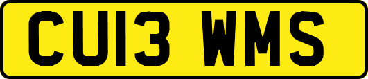 CU13WMS