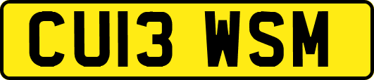 CU13WSM