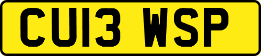 CU13WSP