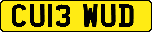 CU13WUD